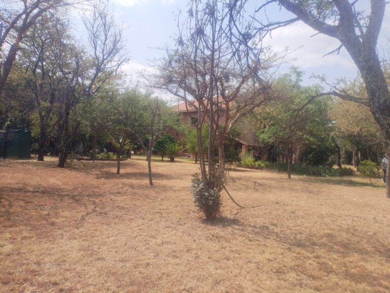 Beautiful , Homely Plot for sale in Hartebeeshoek.