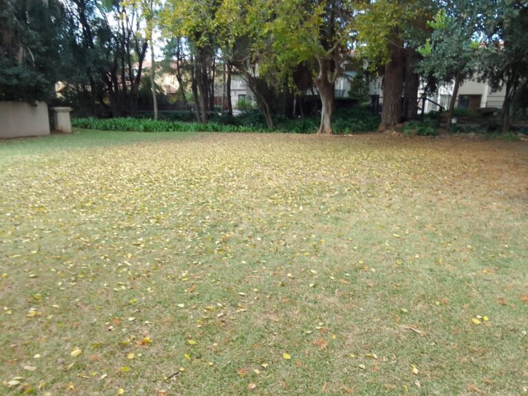 Vacant Land for Sale in Eagles landing Estate